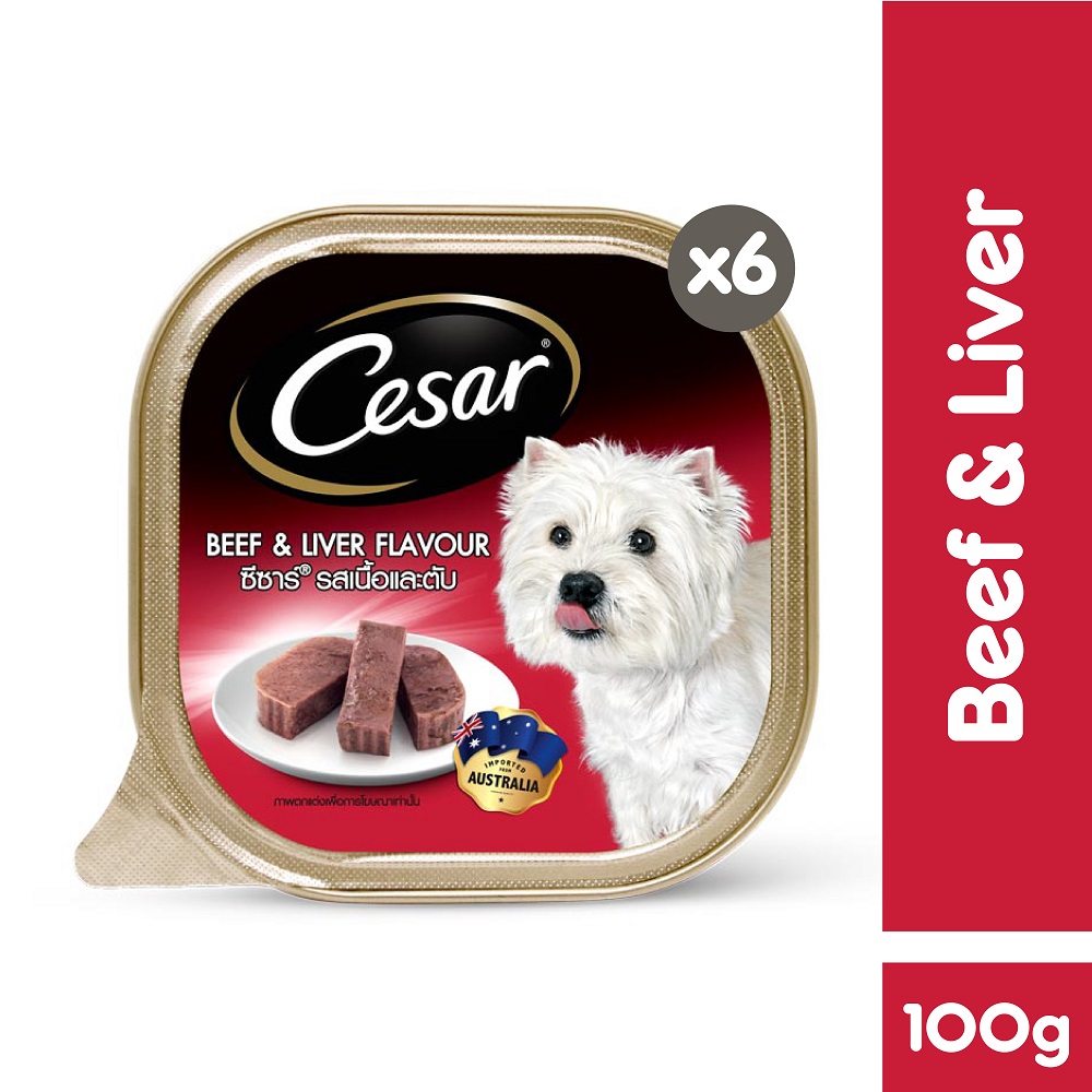 CESAR Dog Food Premium Dog Wet Food in Beef and Liver Flavor (6Pack