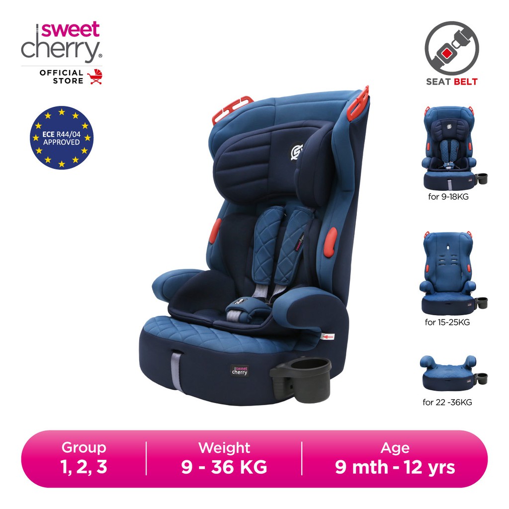 Sweet Cherry Group 1, 2, 3 Forward Facing HighBack Baby Booster Car