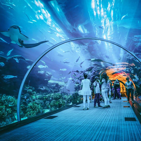 Aquaria KLCC Direct Entry Ticket with Discounted Family Combo Kuala