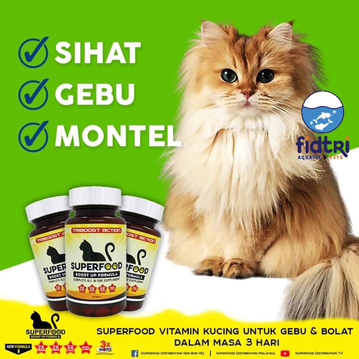 SUPERFOOD BOOST UP FORMULA VITAMIN UNTUK KUCING SUPPLEMENT FOR CAT Shopee Malaysia
