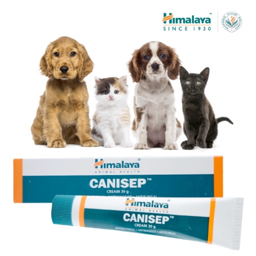 REPACK Himalaya CANISEP CREAM 5G / 8G (dermatitis, cuts, dry/moist