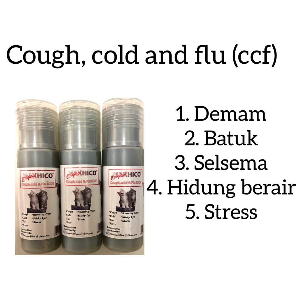 Ubat Selsema Terbaik Untuk Kucing Angelkilax