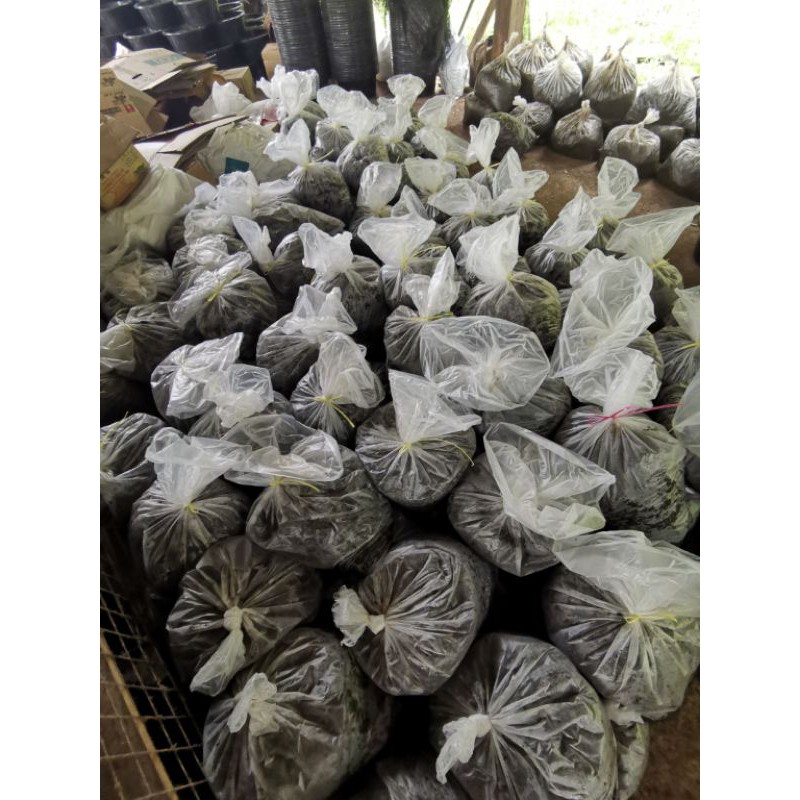 Worm Bedding 25kg Shopee Malaysia