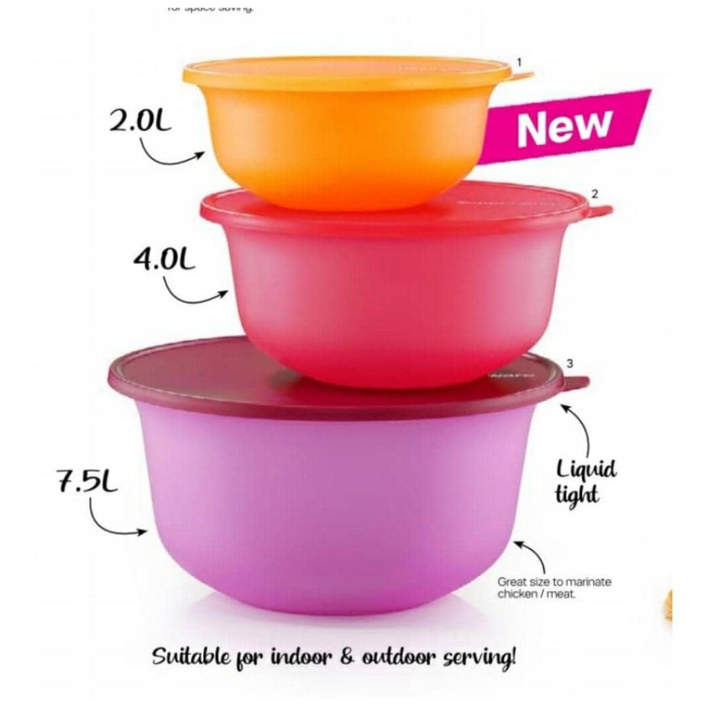 Aloha Bowl Set Tupperware Plus