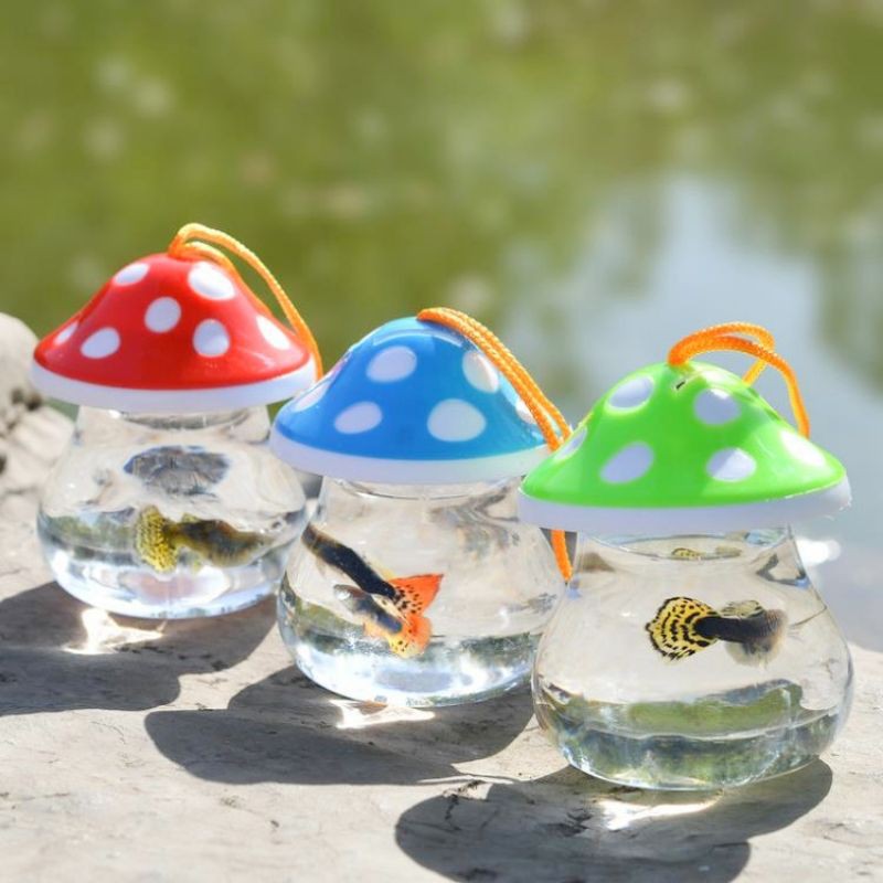 【READY STOCK】🇲🇾Plastic Fish Aquarium / Betta Tank / Mini small plastic