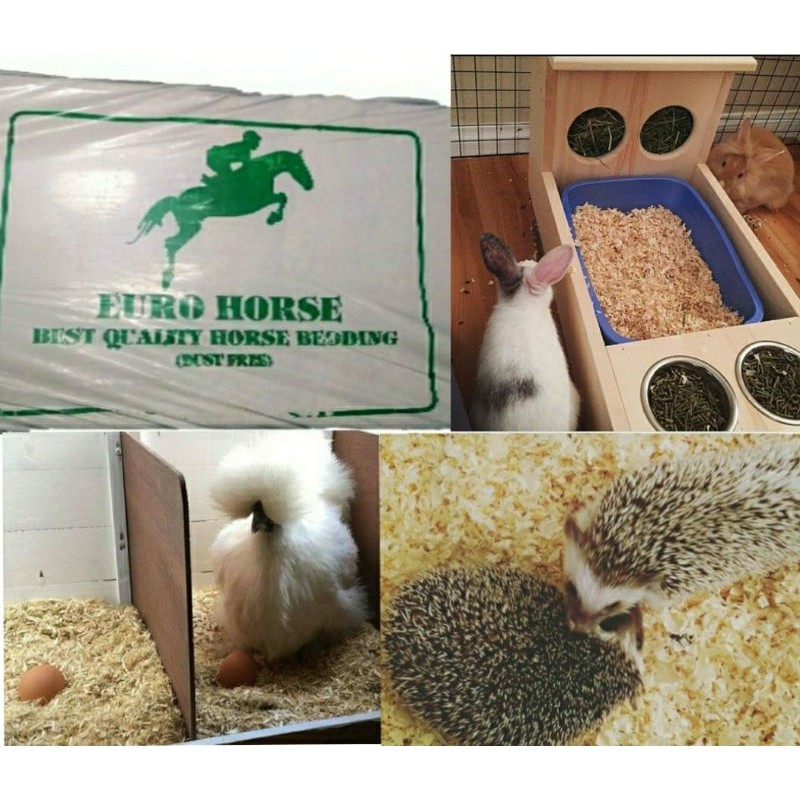 >> euro horse bedding 1kg pine wood shaving guinea pig rabbit