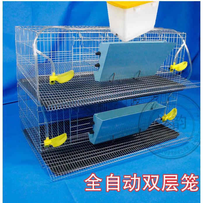 Thickened Encrypted Quail Cage Household Quail Cage Partridge Cage