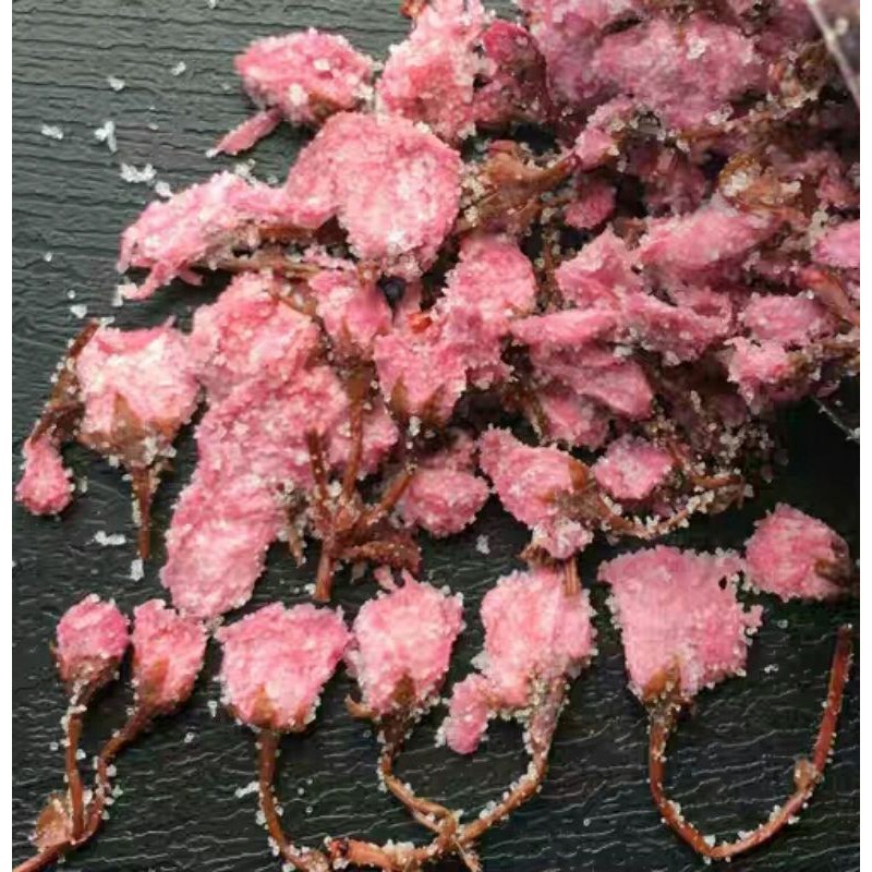 🌸 japan sakura cherry blossom flower 1kg 日本樱花 樱花瓣 盐渍樱花 水信玄饼 salted