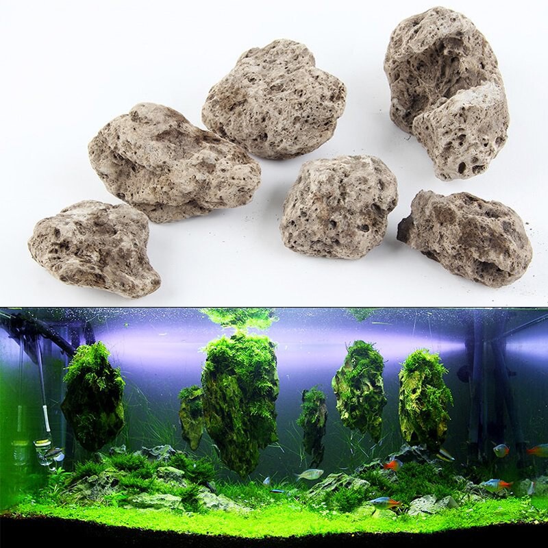 Aquascaping Pumice Stone Floating Rock Natural Float Stone Shopee