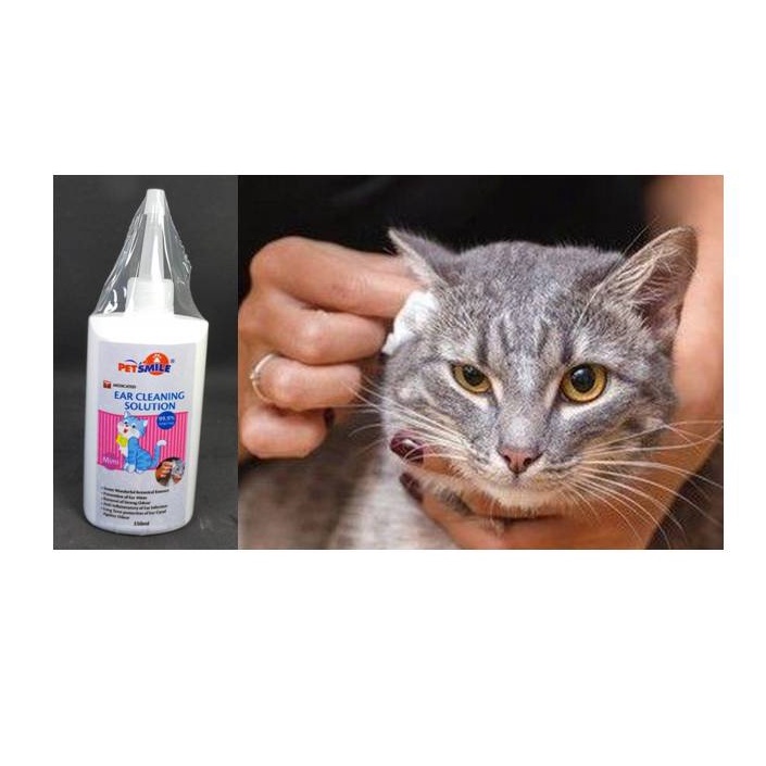 Natural Cure For Ear Mites In Cats