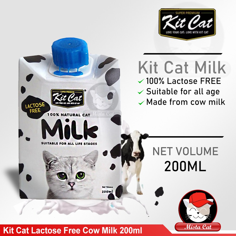 lactose free milk for kittens Captions Casual
