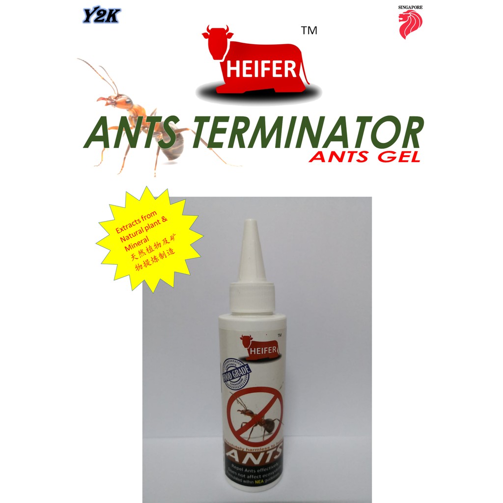 HEIFER Ants Terminator / Ants Gel (100ML) Shopee Malaysia