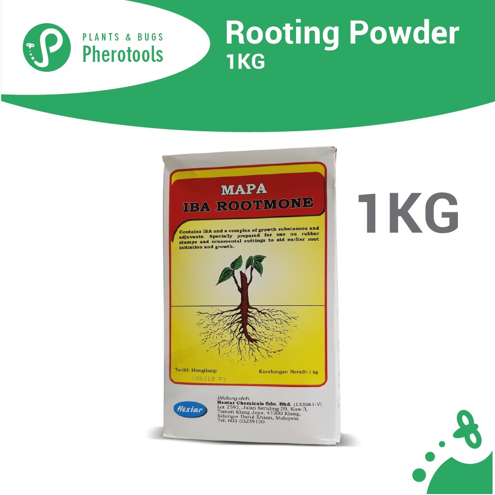 Pherotools 1KG Rooting Powder (IBA Rooting Hormone For Rooting Plants Ornamentals Fruit Trees