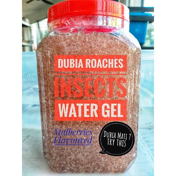 Dubia Roaches Water Gel 600g 350g Filtered Water Bervitamin