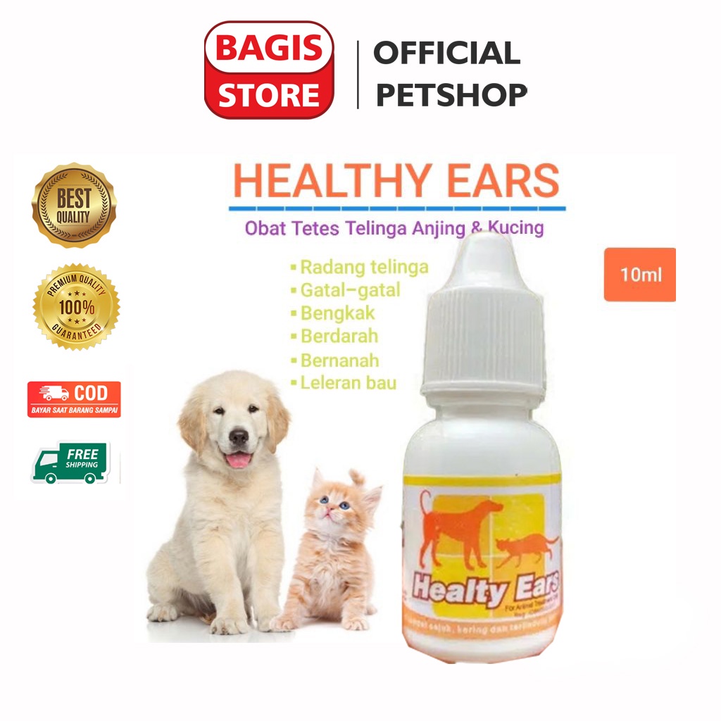 Medicine Swelling Ears Bleeding Ears Healty Ears Cat Healthy Ears Dog