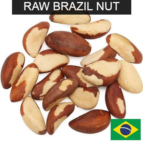 500g 1000g RAW BRAZIL NUTS PRODUCED FROM AMAZON BRAZIL Shopee Malaysia