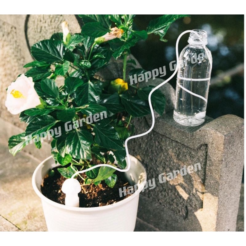[READY STOCK] Ceramic Cone Self Watering Tool Automatic Plant Drip