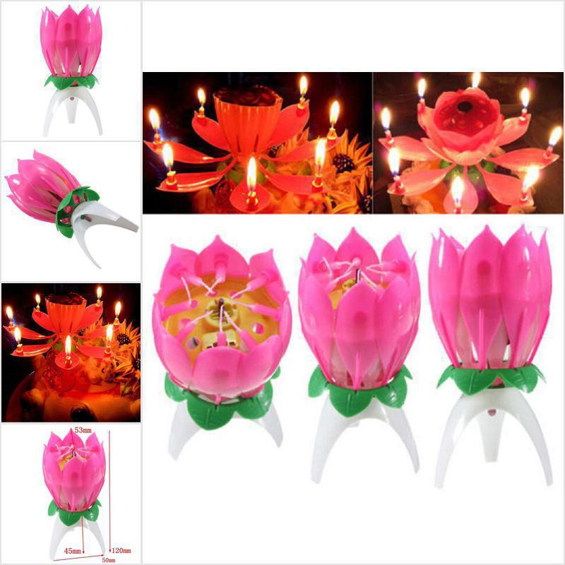 Lotus Flower Gift Malaysia Best Flower Site
