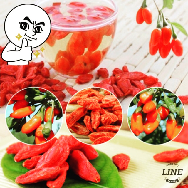 250 grm Goji Beri / Goji Berries Bioshifax Shopee Malaysia