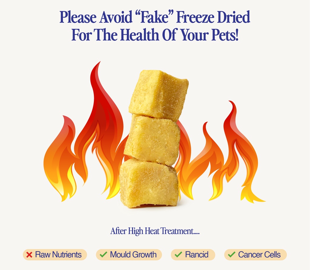 PawCipes Freeze Dried Treats Premium Cat/Dog Food Egg Yolk (125g) Shopee Malaysia