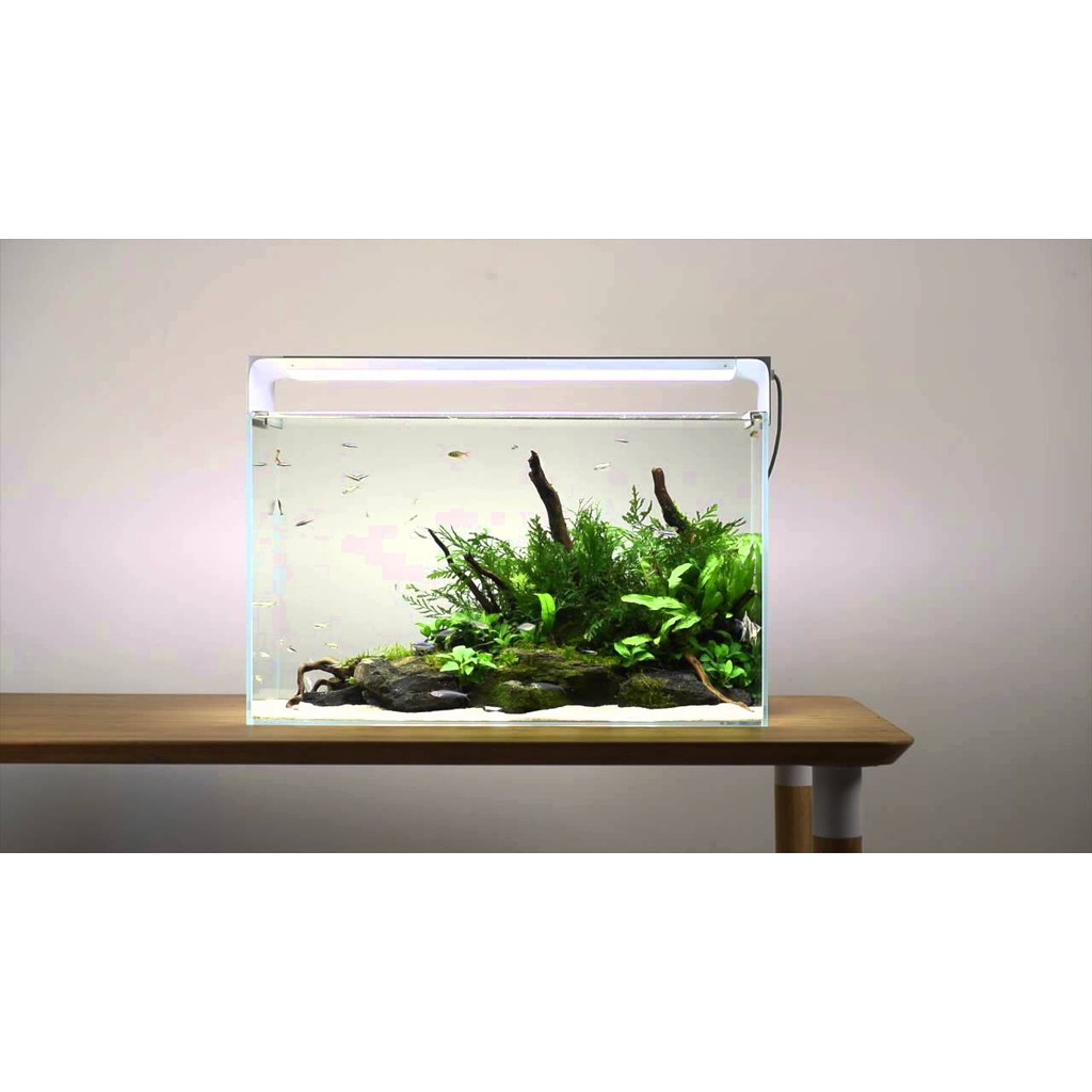 [NEW +] ONF Flat One + Standard The Smart Aquarium Lighting with App