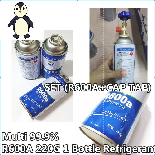 BIG R600A New TYPE Gas Fridge Refrigerator COMPRESSOR ISI GAS