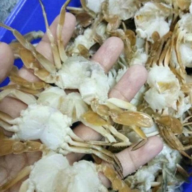 Baby Crab ubicaciondepersonas.cdmx.gob.mx