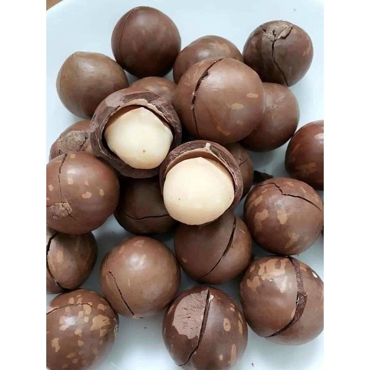 Ready stock.Vietnamese macadamia nutsFree seed split key 500gr