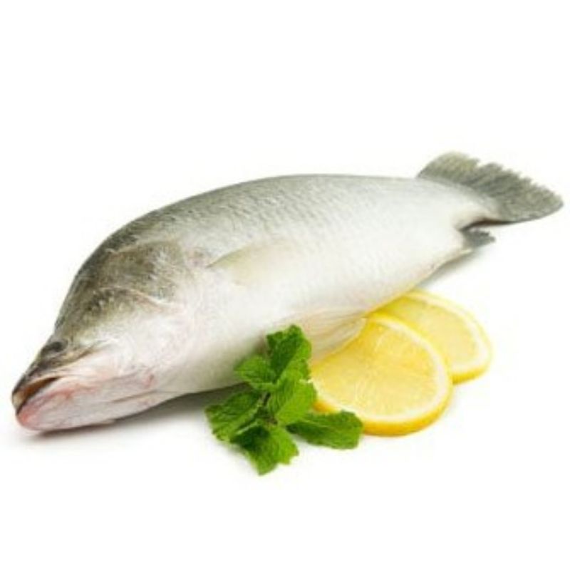 HALAL Frozen Ikan Siakap/Sea Bass(500g800g) Shopee Malaysia