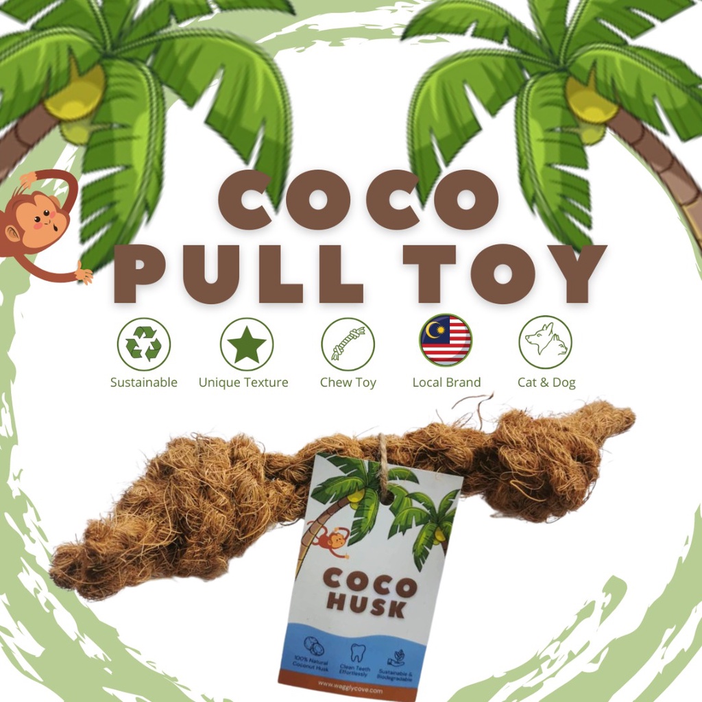 Is Coconut Husk Safe For Dogs