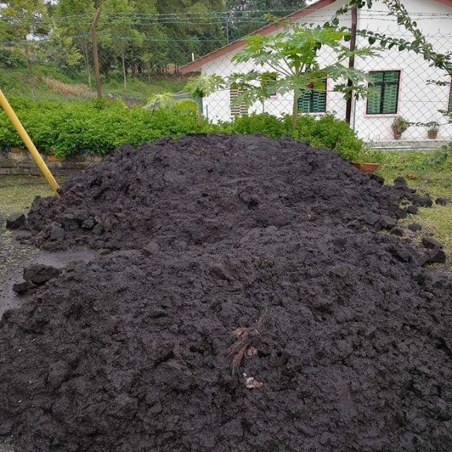 Tanah Sawit Hitam / Pure Black Soil Asli (1kg) Shopee
