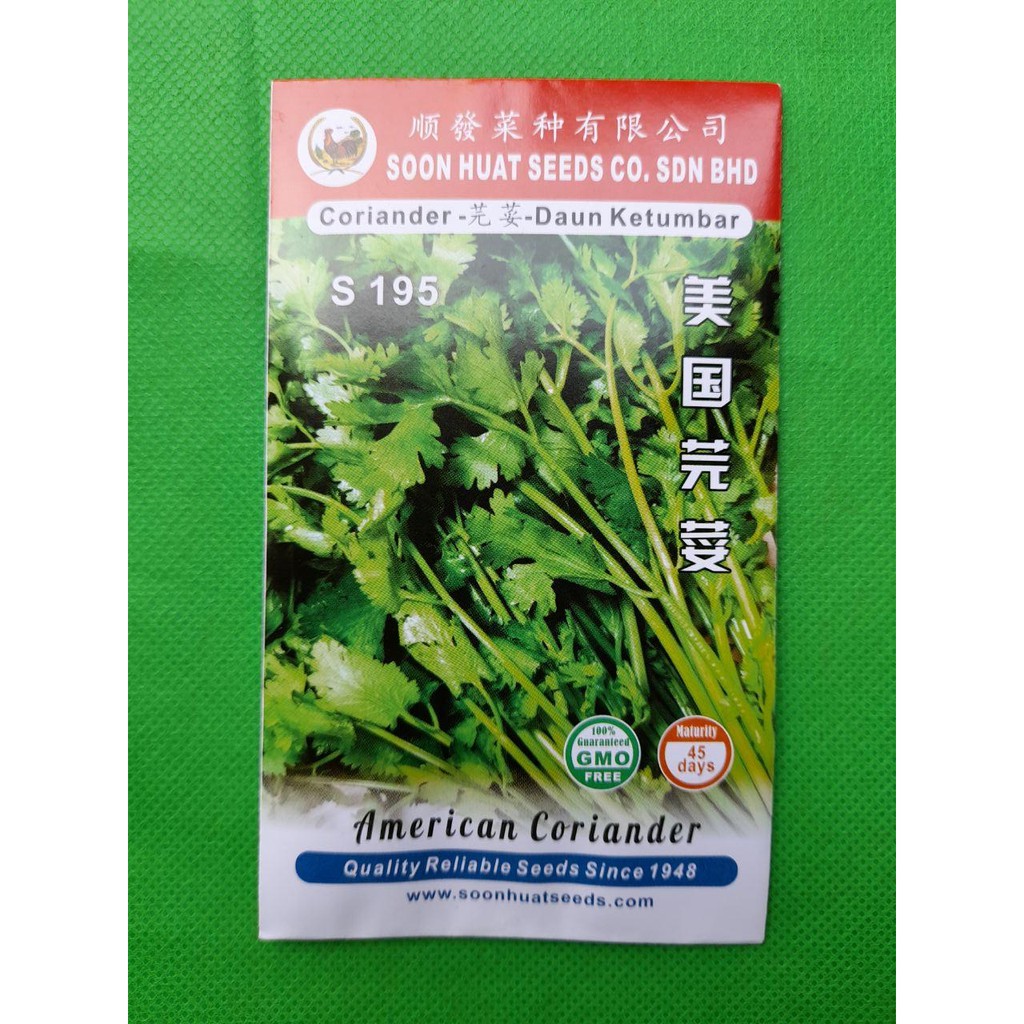 Coriander in malay 🌈Coriander In Bahasa Malaysia