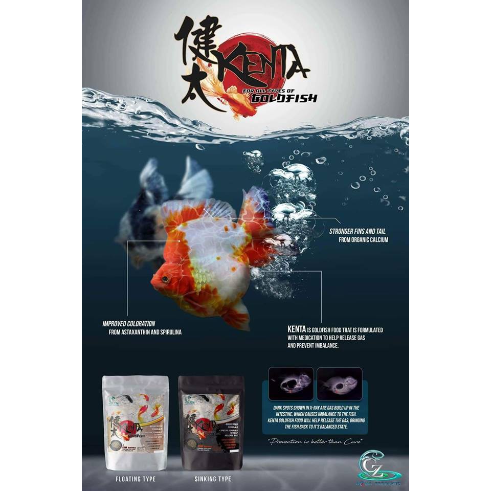 Kenta Gold Fish Food GoldFish Food Treatment Swim Bladder 150g Shopee