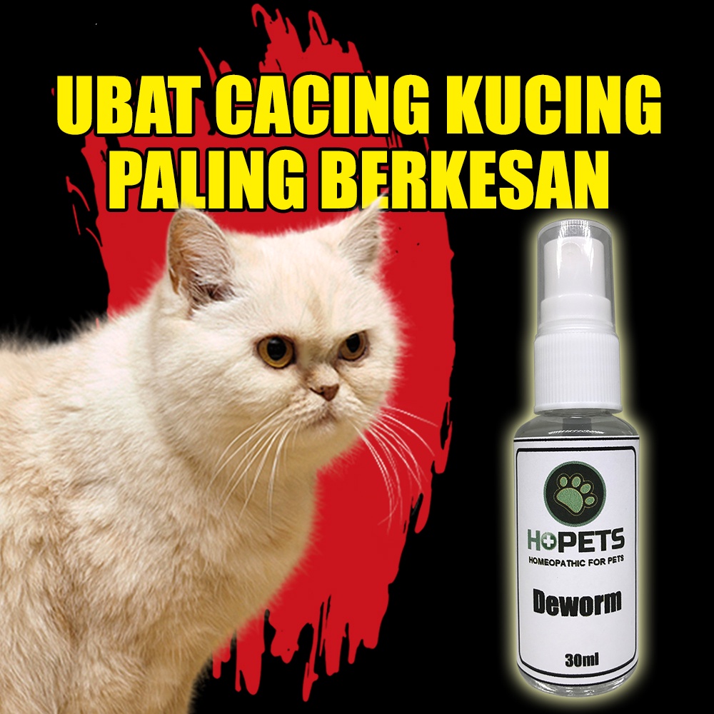 Ubat Cacing Kucing Ubat Cacing Kucing Spray Homeopathy 30ml Shopee