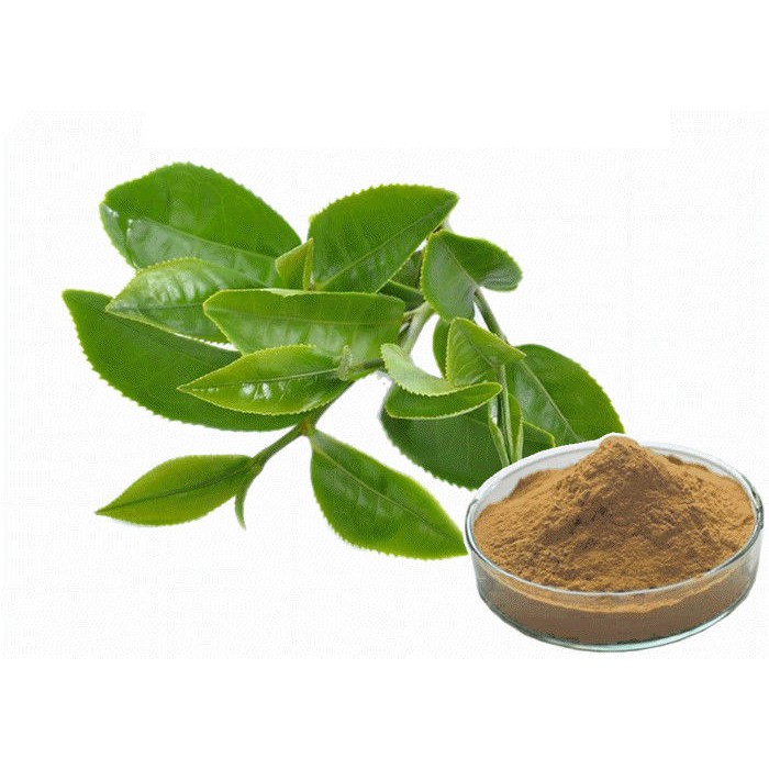 Green Tea Extract Powder 1kg/bag Shopee Malaysia