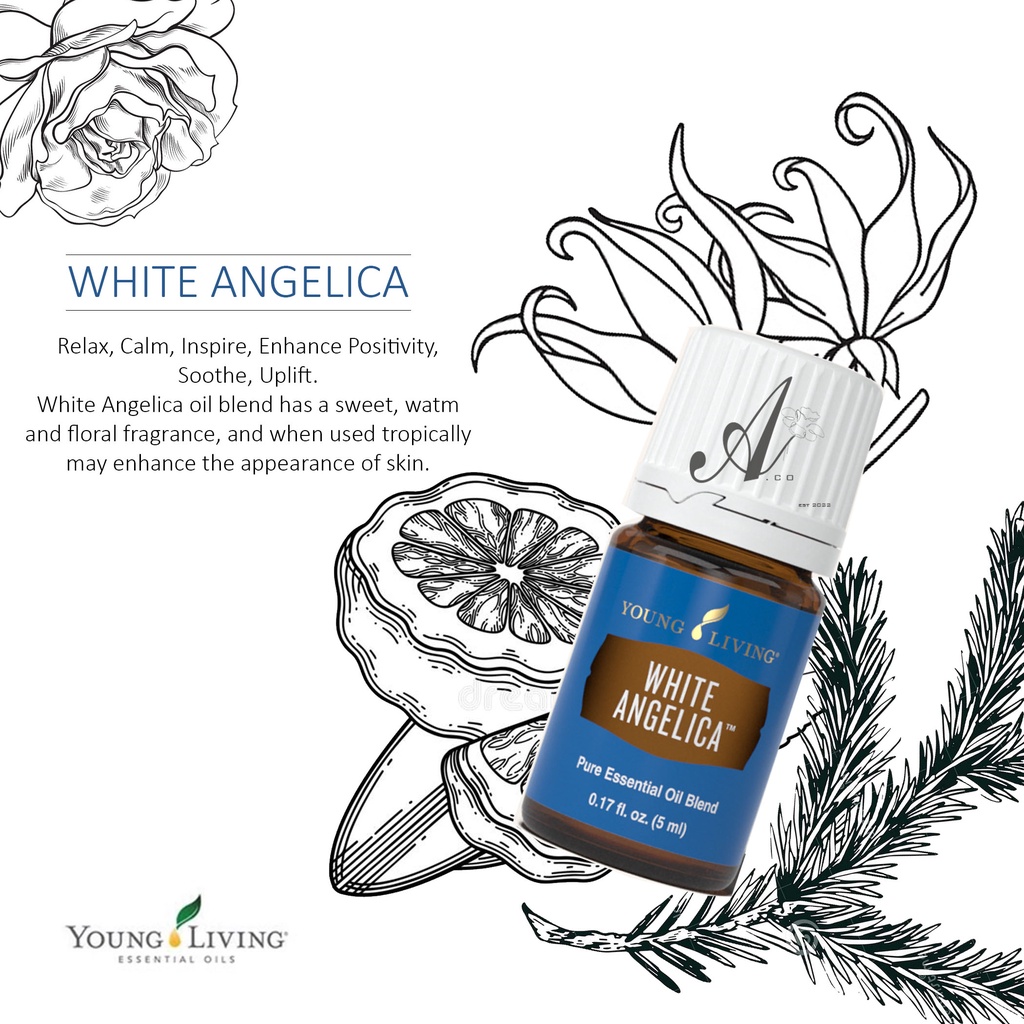 Young Living White Angelica Essential Oil 5ml Shopee Malaysia