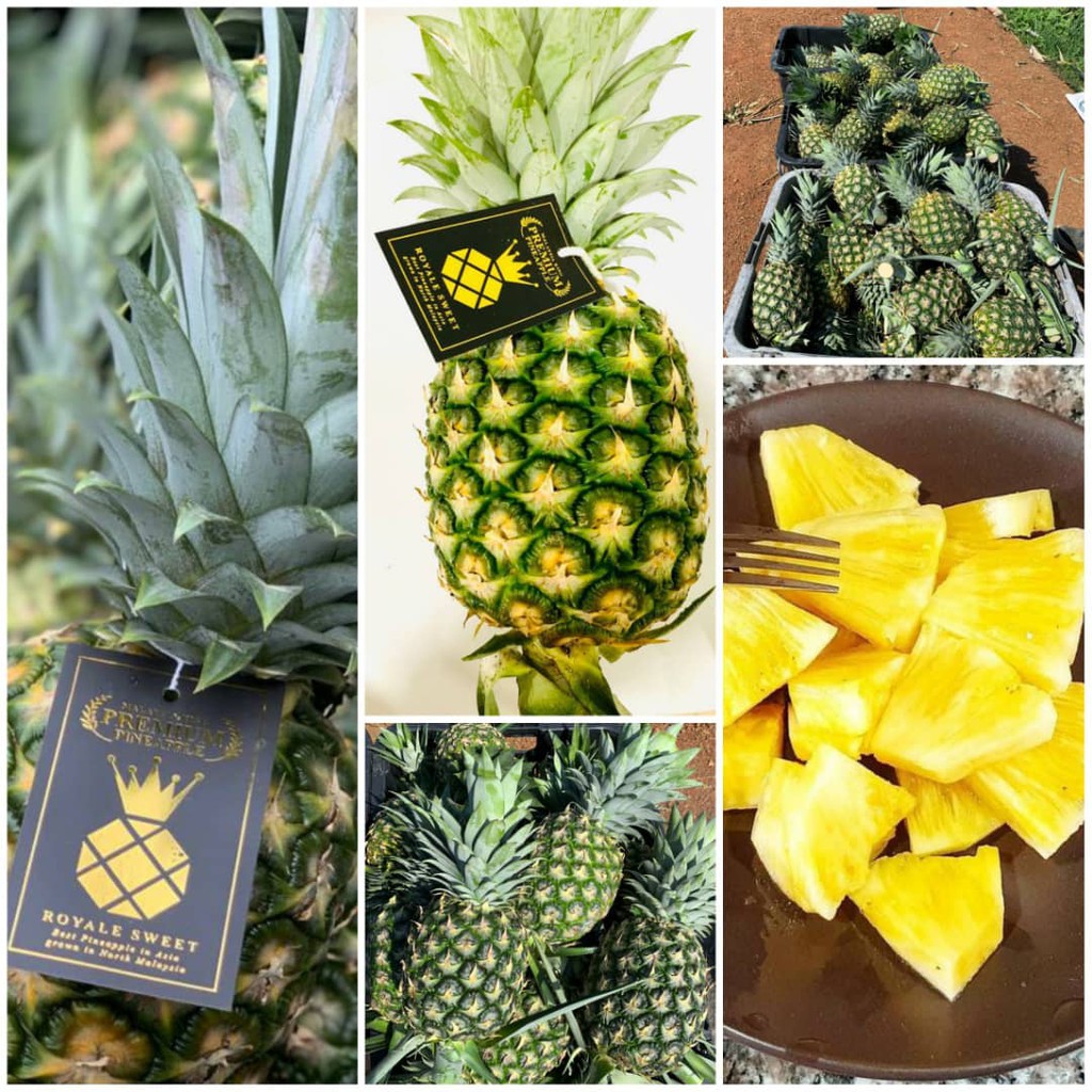 Nanas MD2 Premium [1 biji 1kg>] Harga Rakyat Shopee