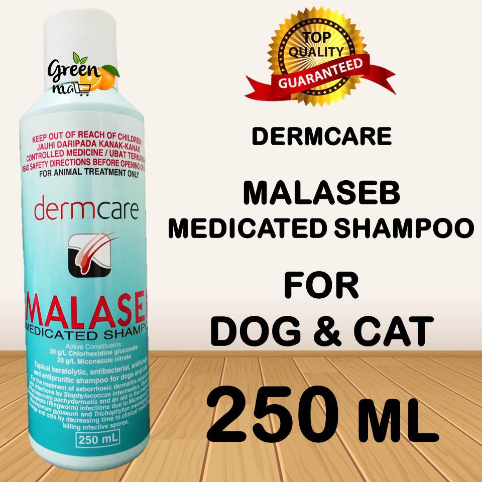 MALASEB MEDICATED SHAMPOO 250ML (EXP 02/2023) Shopee Malaysia