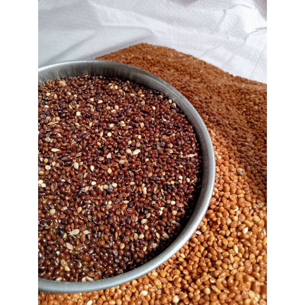 READY STOCK!GRED A sekoi hitam/sekoi merah/makanan burung 400g/bird