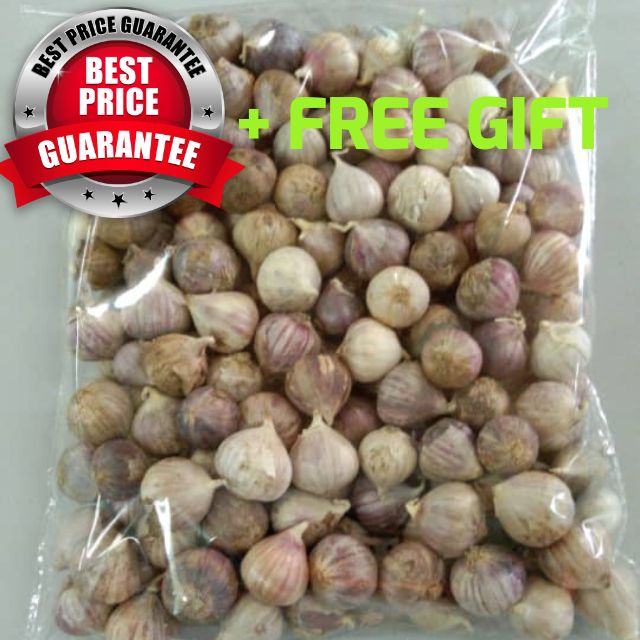 Bawang Putih TUNGGAL , LANANG 1 KG Shopee Malaysia