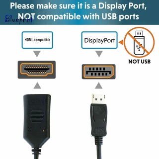 blueprint Active Display Port DP to HDMI Adapter Cable 4K
