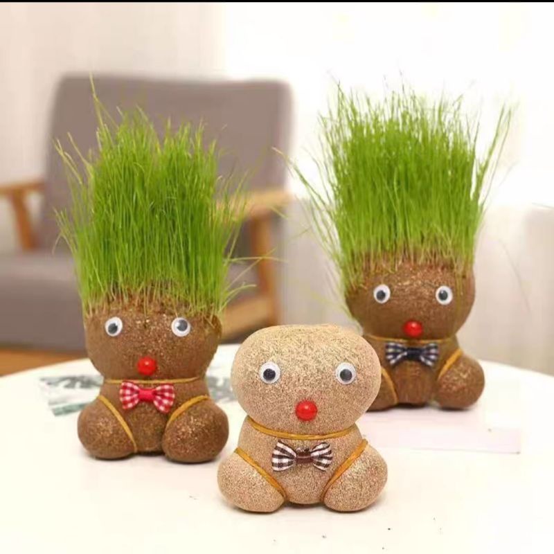 Craft Growing Grass Head Toy Planting for Children/Home/Office Shopee