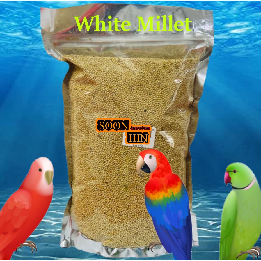Bird Food Millet 1kg Shopee Malaysia