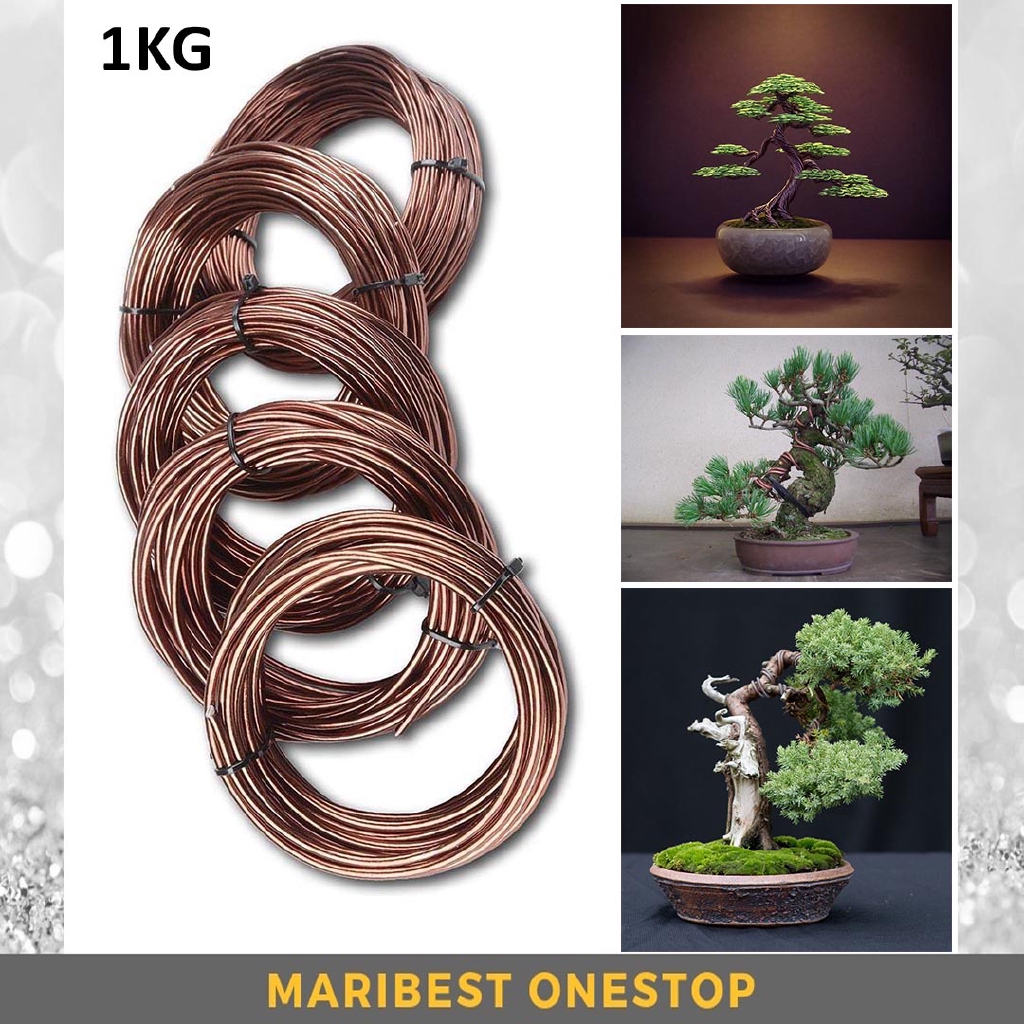 1KG BRONZE COLOR ALUMINIUM BONSAI GARDENING WIRE DAWAI POKOK 5MM New