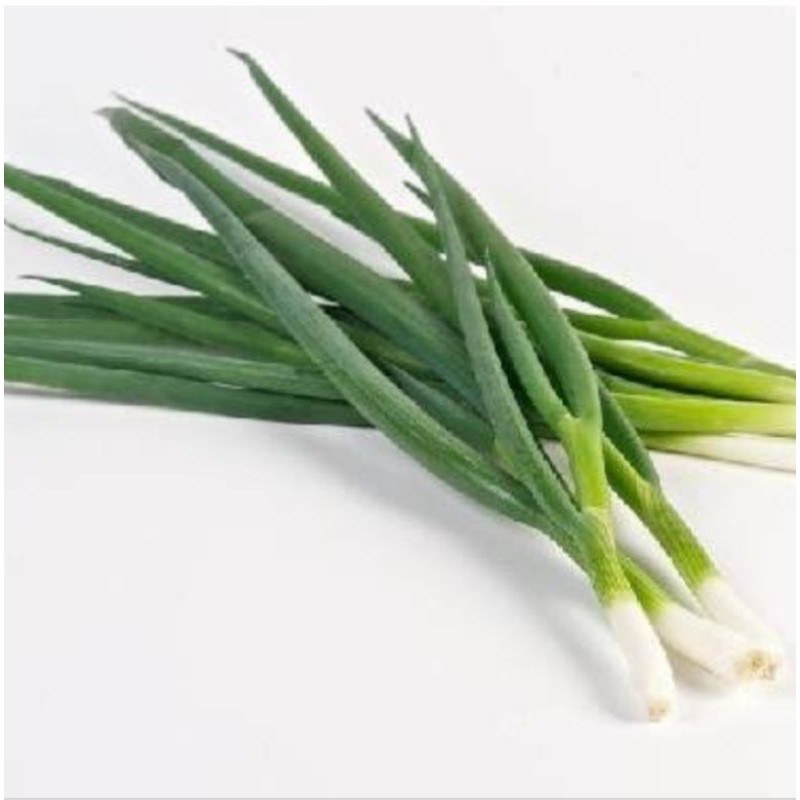 30 biji benih daun bawang / bawang perai / leek seeds Shopee Malaysia
