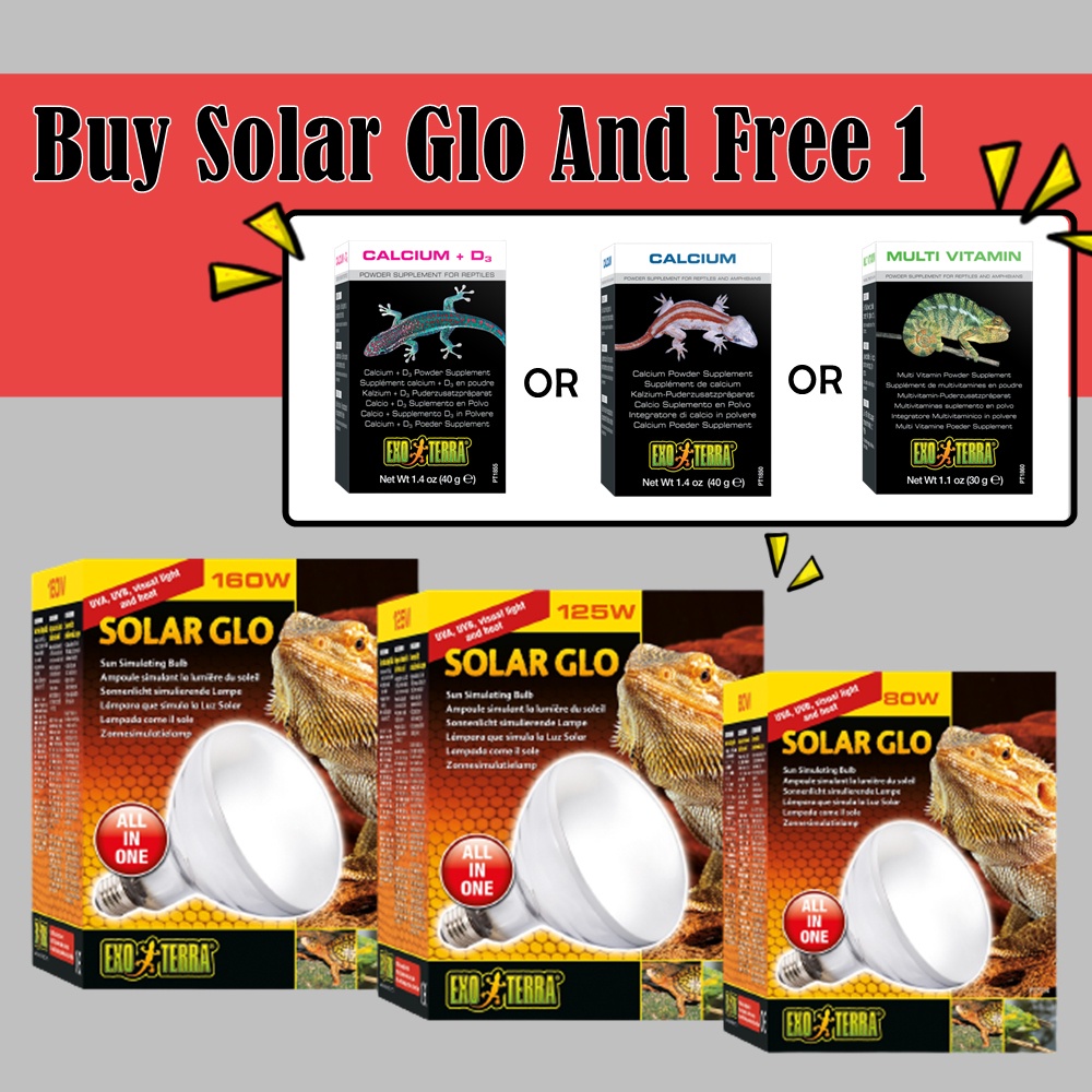 Exo Terra Solar Glo / Sun Simulating Bulb Shopee Malaysia