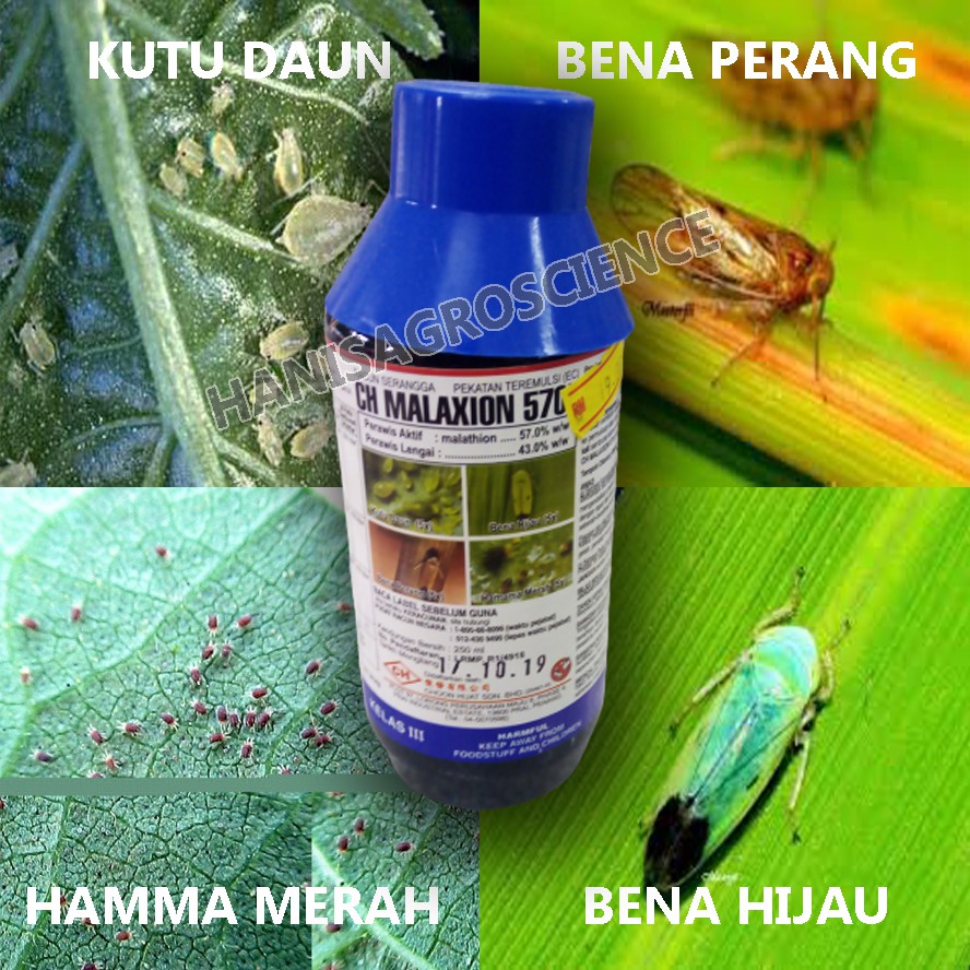 UBAT ULAT DAUN/BENA PERANG/BENA HIJAU/KUTU DAUN/HAMAMA