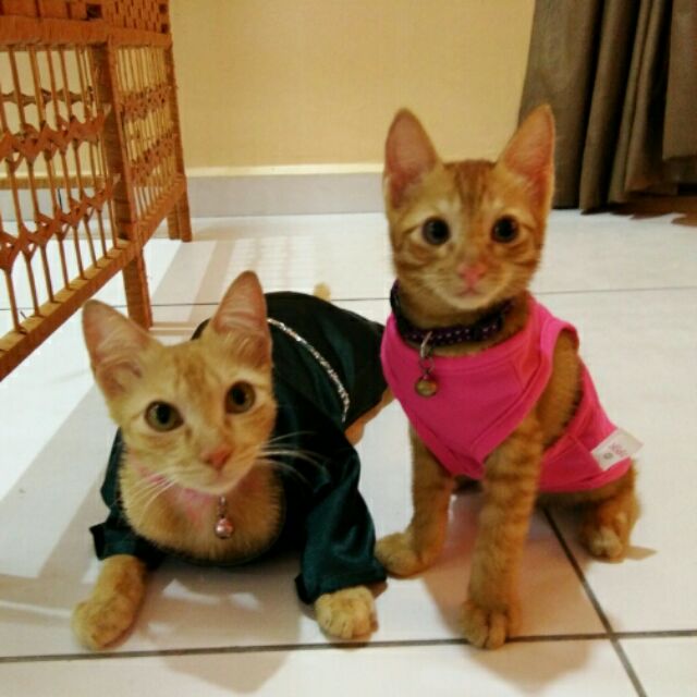 Online Shop Shopee Malaysia