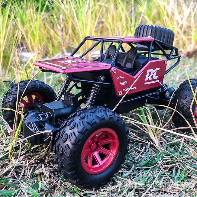 118 Scale 2.4Ghz Radio 4WD Fast 30+ MPH RC Truck RC Car, Remote