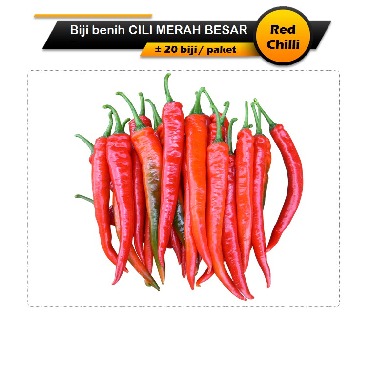 Biji Benih Cili Merah Besar (20 seeds) / Red Chili seeds (Chilli